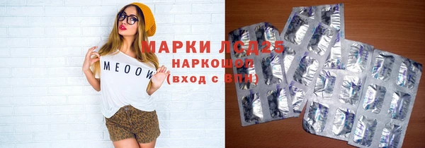 ECSTASY Алзамай