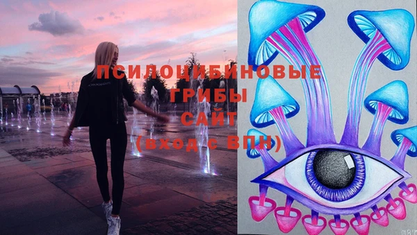 мет Алексин
