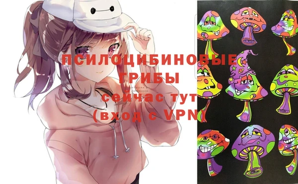 ECSTASY Алзамай