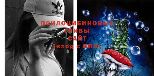 таблы Алексеевка