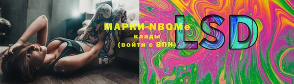 мет Алексин
