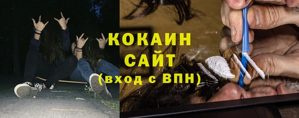 ECSTASY Алзамай
