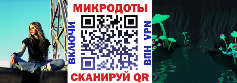 Псилоцибиновые грибы Psilocybe  где купить наркоту  Могоча 