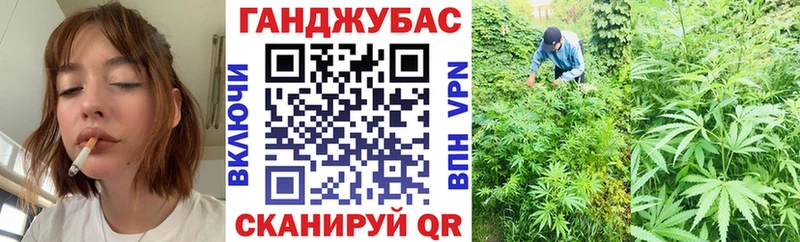 блэк спрут как войти Могоча Бошки Шишки планчик где найти наркотики